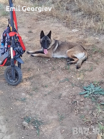 Продавам тротинетка,в гаранция, снимка 1