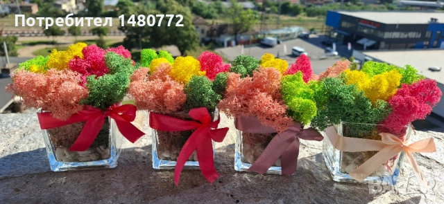 Стъклени кашпи със скандинавски мъх , снимка 14 - Декорация за дома - 48169993