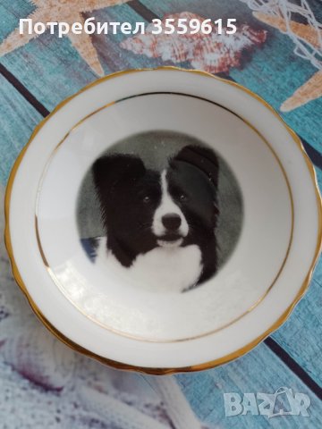 порцеланова декоративна колекционерска чинийка с куче от Англия, снимка 3 - Антикварни и старинни предмети - 41015715