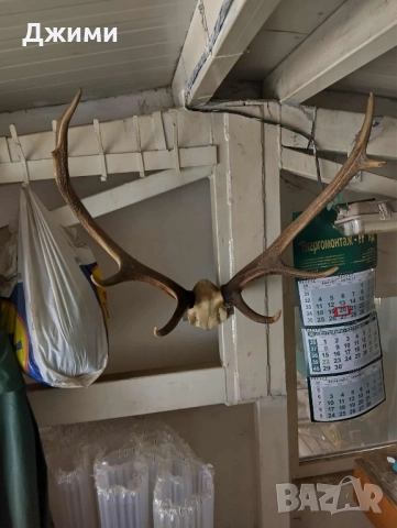 различни симетрични трофеи, снимка 13 - Антикварни и старинни предмети - 47085516