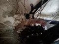 Велосипед Appolo Sprint 26", снимка 3