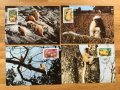 Бутан 1984 - 4 броя Карти Максимум - WWF, снимка 1 - Филателия - 38897271