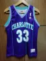 CHARLOTTE HORNETS ALONZO MOURNING CHAMPION NBA ОРИГИНАЛЕН ПОТНИК РАЗМЕР L JERSEY , снимка 1