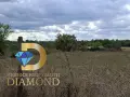Едноетажна къща в село Бяло поле, общ. Опан, снимка 15