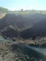 Плодородна пръст, снимка 3