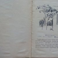 Тошко Африкански - Ангел Каралийчев - 1970г., снимка 4 - Детски книжки - 42055396