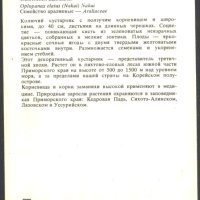 Картичка Флора Висока Заманиха (Хай) 1981 от СССР, снимка 2 - Филателия - 41711188