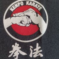 Мъжка тениска Mu - Thai Gym,Kenpo karate, снимка 9 - Тениски - 29915251