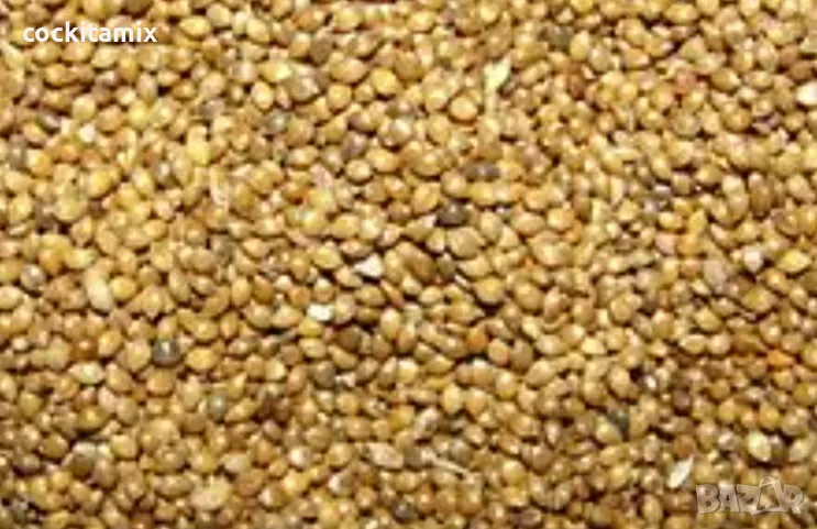 Ронено лудо просо за птици - 1кг, снимка 1