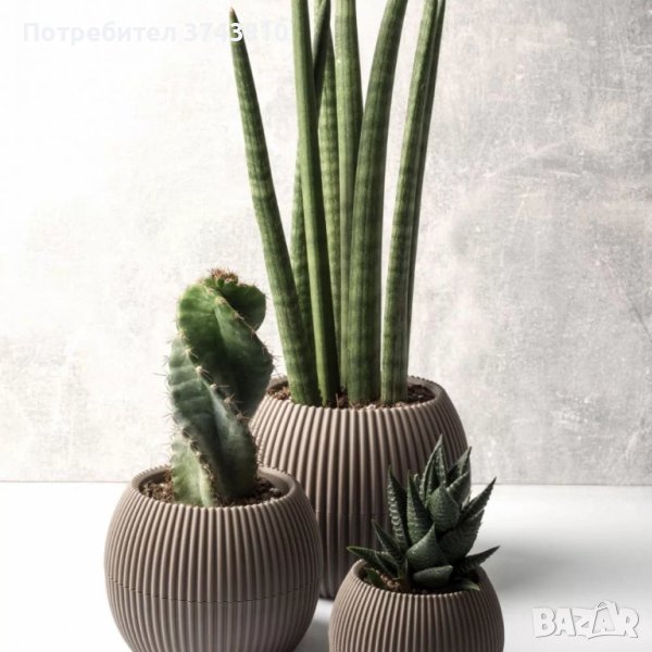 САКСИЯ КОРАЛ KRS-362, снимка 1