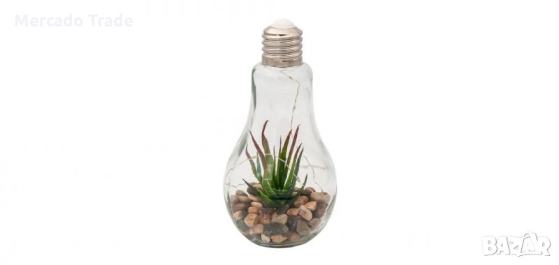 Декоративна стъклена крушка с 10 LED светлини и растение, снимка 1