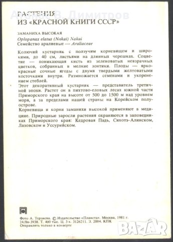 Картичка Флора Висока Заманиха (Хай) 1981 от СССР, снимка 2 - Филателия - 41711188