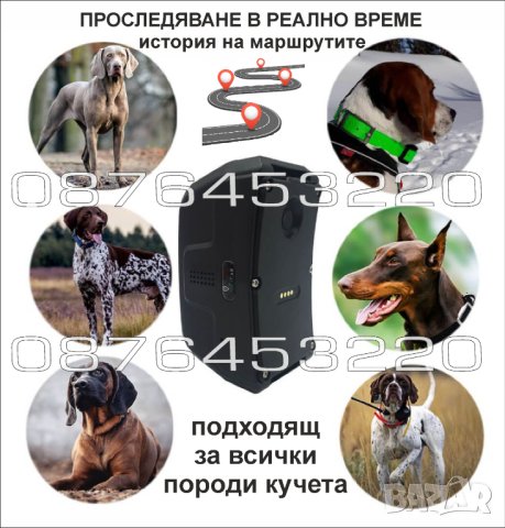 🥇 GPS Tracker ДжиПиЕс тракер за ловно куче IK122 PRO HUNTING DOG, снимка 4 - За кучета - 42294727