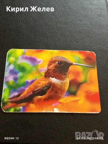 Старо календарче 07г. серия ПТИЦИ за КОЛЕКЦИЯ ДЕКОРАЦИЯ 36948, снимка 3 - Колекции - 51217440