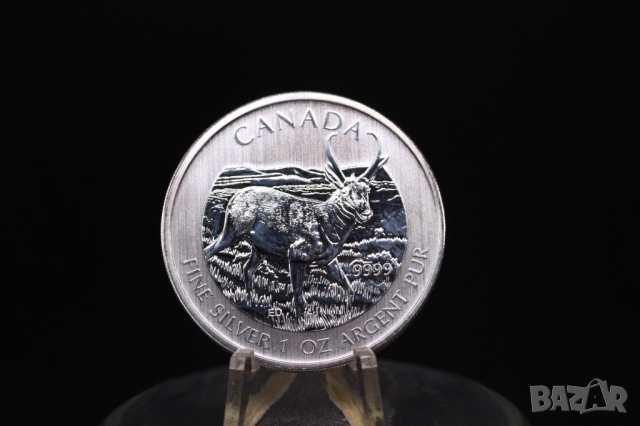 Кленов лист, Канада - серия Дивата природа - 4 х 1 oz / унция, инвестиционно сребро, снимка 4 - Нумизматика и бонистика - 51979784