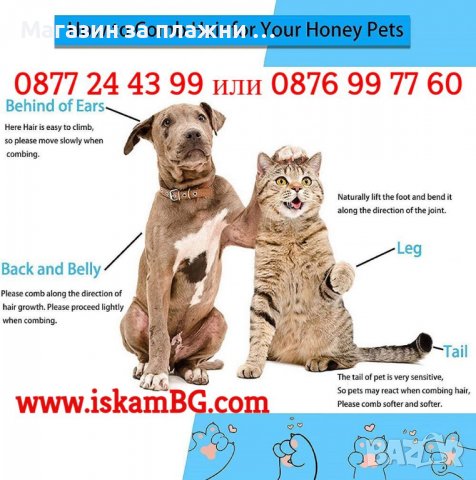 Четка за сресване на кучета и котки | Четка за разресване на мъртва козина за куче и котка КОД 3828, снимка 11 - Други стоки за животни - 39486051