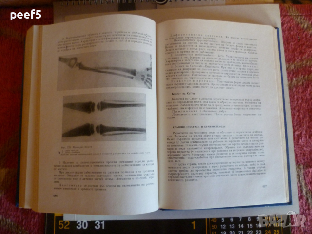 "Детски болести" Учебник за студенти медици, снимка 6 - Специализирана литература - 36356974