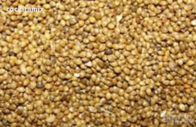 Ронено лудо просо за птици - 1кг