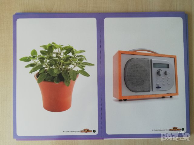 Young Explorers 1 Teacher's Resource pack, снимка 15 - Чуждоезиково обучение, речници - 41538297