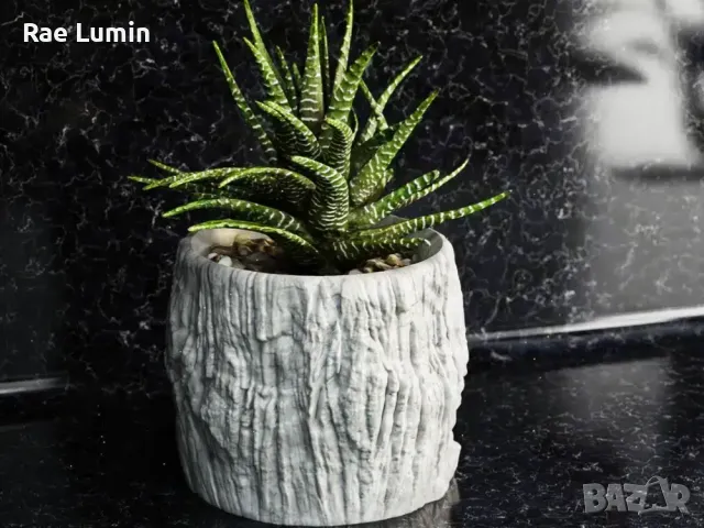 Кашпа – скала, снимка 1