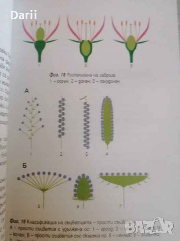 Дървета, храсти и полухрасти- Миглена Георгиева, Дамян Дохчев, снимка 3 - Българска литература - 39863556