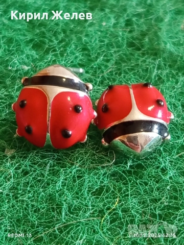 Сребърни обеци във формата на КАЛИНКА 🐞с червен емайл и черни точки 39702