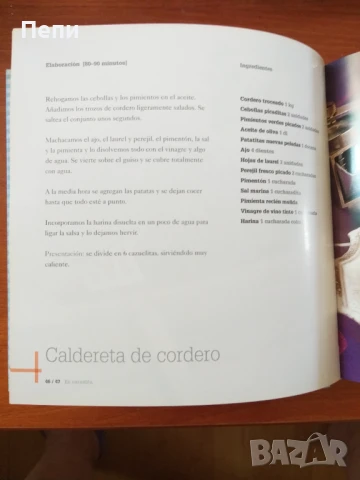 Сборник с испански рецепти, снимка 8 - Специализирана литература - 51293386