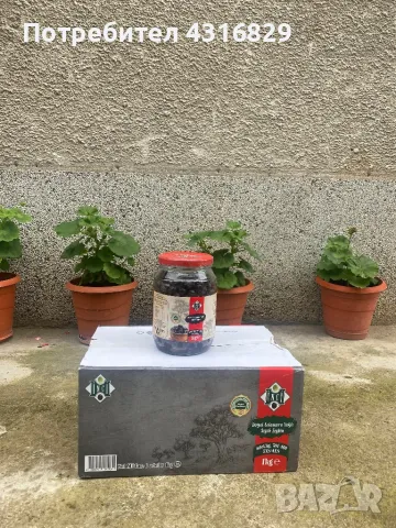 Маслини - INCI, снимка 3 - Други - 50329025