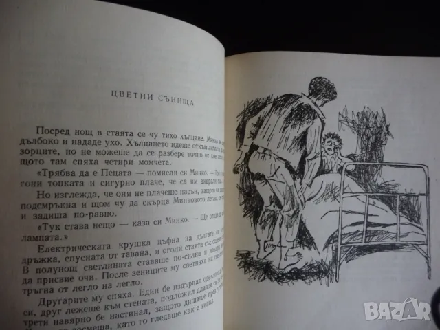 Хлапето Георги Мишев разкази за деца рядка книга автор писател, снимка 4 - Детски книжки - 47397610