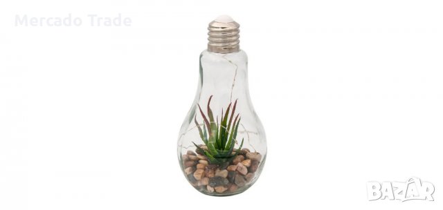 Декоративна стъклена крушка с 10 LED светлини и растение