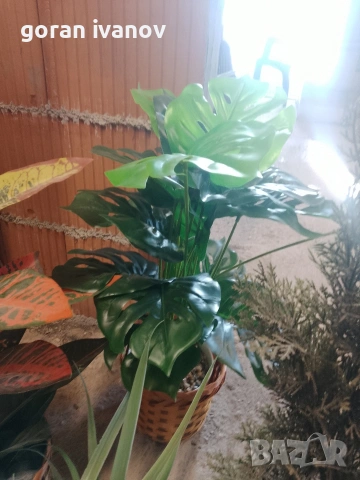 изкуствени цветя в саксии, снимка 5 - Изкуствени цветя - 53815185