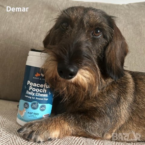 Дъвчащи таблетки за облекчаване на тревожността за кучета успокояващи, снимка 5 - За кучета - 41888374