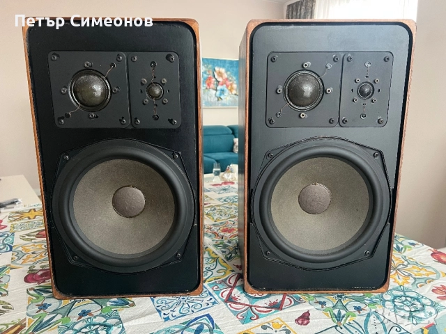 Braun SM1004, снимка 2 - Тонколони - 52438692