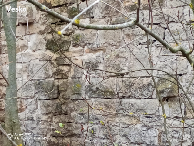 Дялан камък , снимка 6 - Строителни материали - 52409651