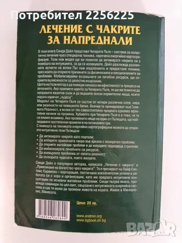 Лечение с чакрите за напреднали, снимка 2 - Специализирана литература - 56256712