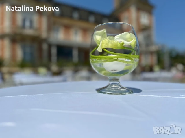 Стъклена купа за декорация , снимка 2 - Декорация за дома - 51136906