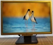 Монитор: Acer AL2216W, снимка 13