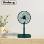 Вентилатор USB Rosberg, 4.5W, 6" , Бял/зелен, настолен, 2 ГОДИНИ ГАРАНЦИЯ, снимка 1
