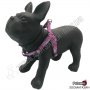 Нагръдник за Куче - Go Get Harness Neoprene - XS, S, M, L - Rosalina - Pet Interest