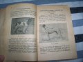 "Ловни кучета" от д-р Алекси Борисов, издание 1949г., снимка 6