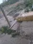 ОГРОМНА РАЗПРОДАЖБА НА ДОМАШНО ИМУЩЕСТВО И ЖИВОТНИ! , снимка 6