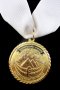 Египет-Египетска федерация по бокс-Награден медал, снимка 6