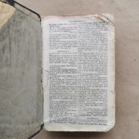 Библия на чешки(словашки?)-началото на 20 в., снимка 3 - Специализирана литература - 44821827