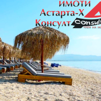Астарта-Х Консулт продава парцел в Агиос Мамас Халкидики Гърция , снимка 3 - Земеделска земя - 44735140