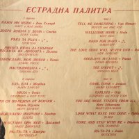 Голяма грамофонна плоча - Естрадна палитра / 1973 - № ВТА 1580, снимка 2 - Грамофонни плочи - 33928625