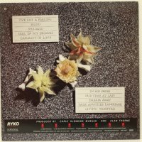 The screaming Tribesmen - Bones Flowers - Грамофонна плоча-LP 12”, снимка 2 - Грамофонни плочи - 38956166