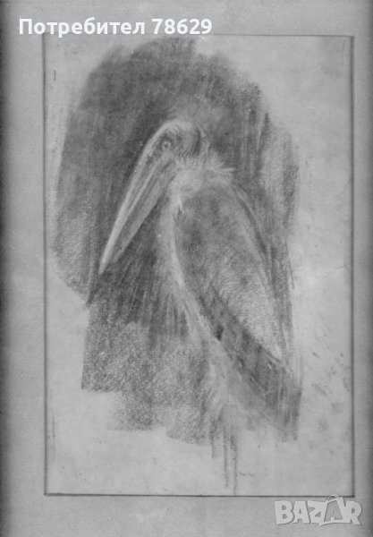 илия петров - рисунка. неподписана, в рамка, снимка 1