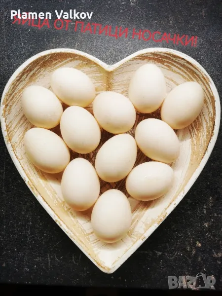 Оплодени яйца от патици порода КАКИ КЕМБЪЛ , снимка 1