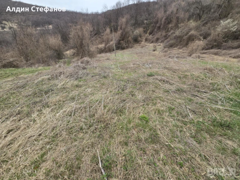 село Заселе Продавам голям парцел, снимка 1