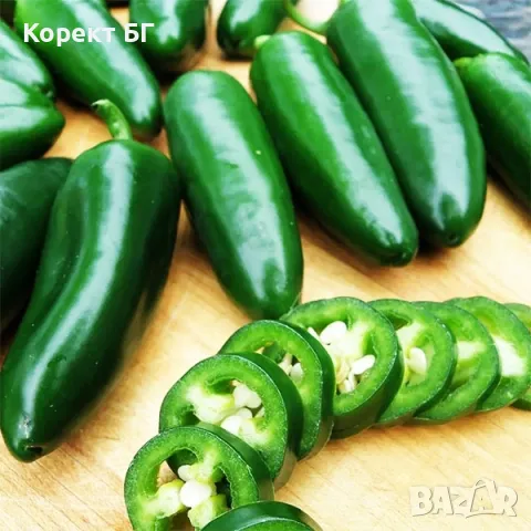 Чушка и семе от най-лютите сорт чушки в СВЕТА! Каролина Рийпър, Червено Хабанеро, Халапеньо , снимка 11 - Разсади - 49863001
